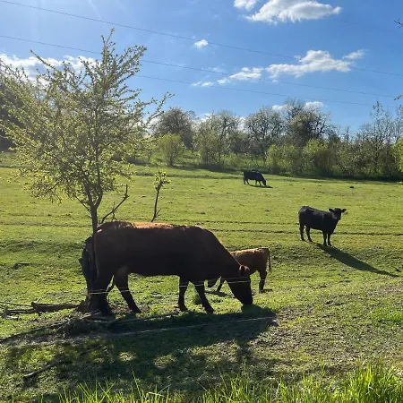 Prázdninový dům Drwala