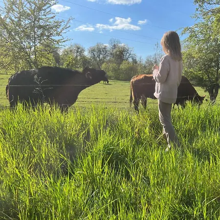 Prázdninový dům Drwala *