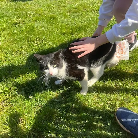 Drwala Prázdninový dům Wałcz