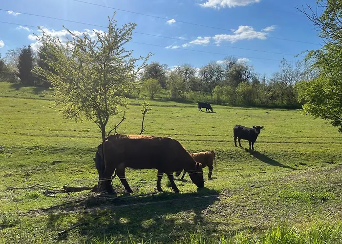 Сasa de vacaciones Drwala