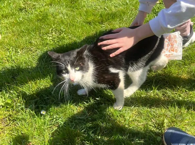 Drwala Сasa de vacaciones Wałcz